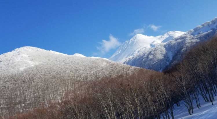 練習風景